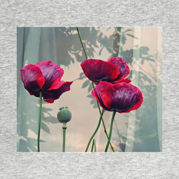 Outdoor Still Life With Poppies by AlexaZari